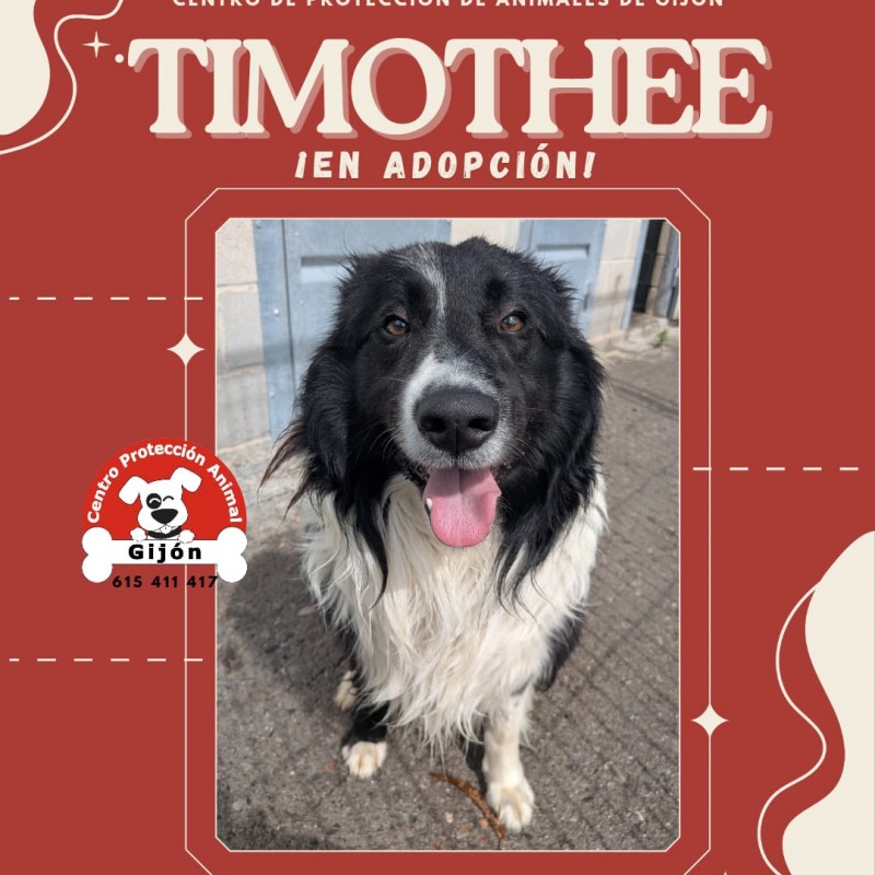 Fotos TIMOTHEE