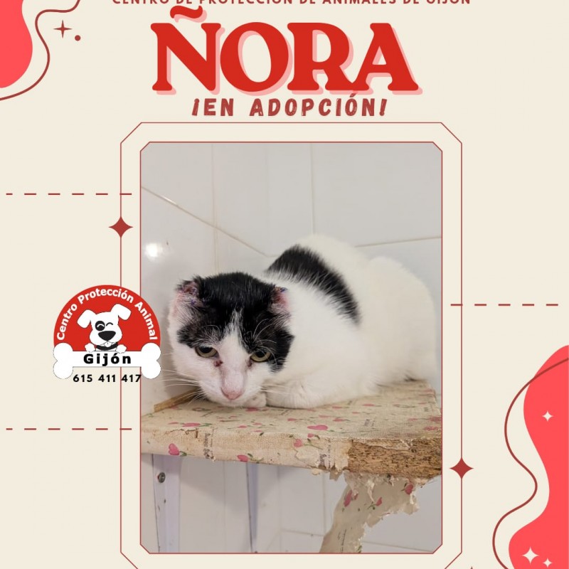 Fotos ÑORA