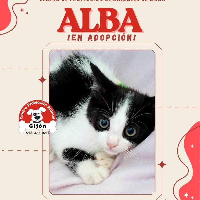 Fotos ALBA