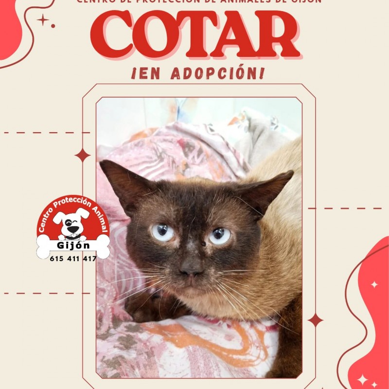 Fotos COTAR