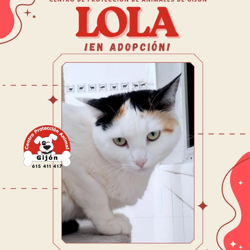 Fotos LOLA