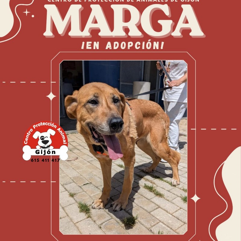 Fotos MARGA