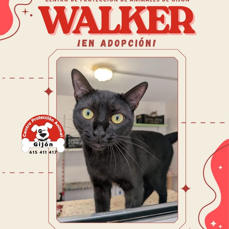 Fotos WALKER