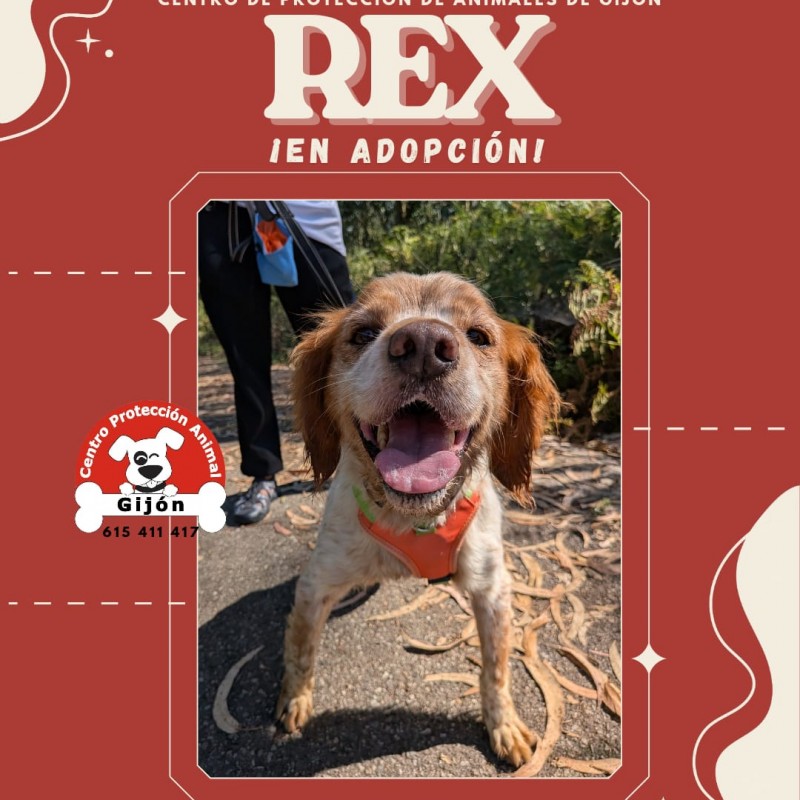Fotos REX