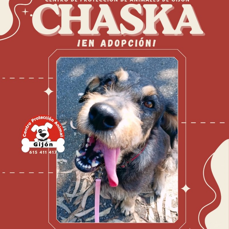 Fotos CHASKA