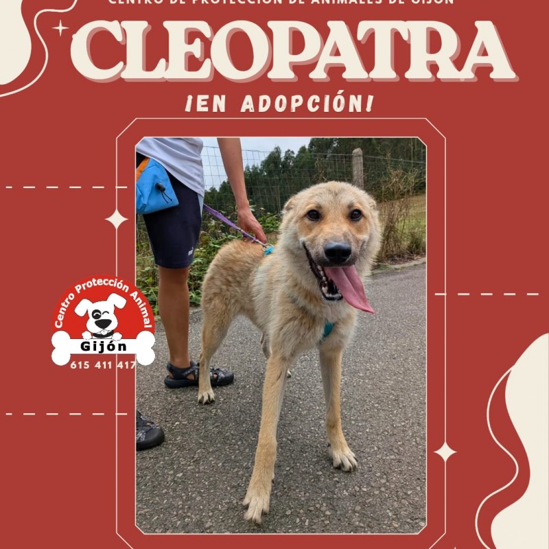 Fotos CLEOPATRA