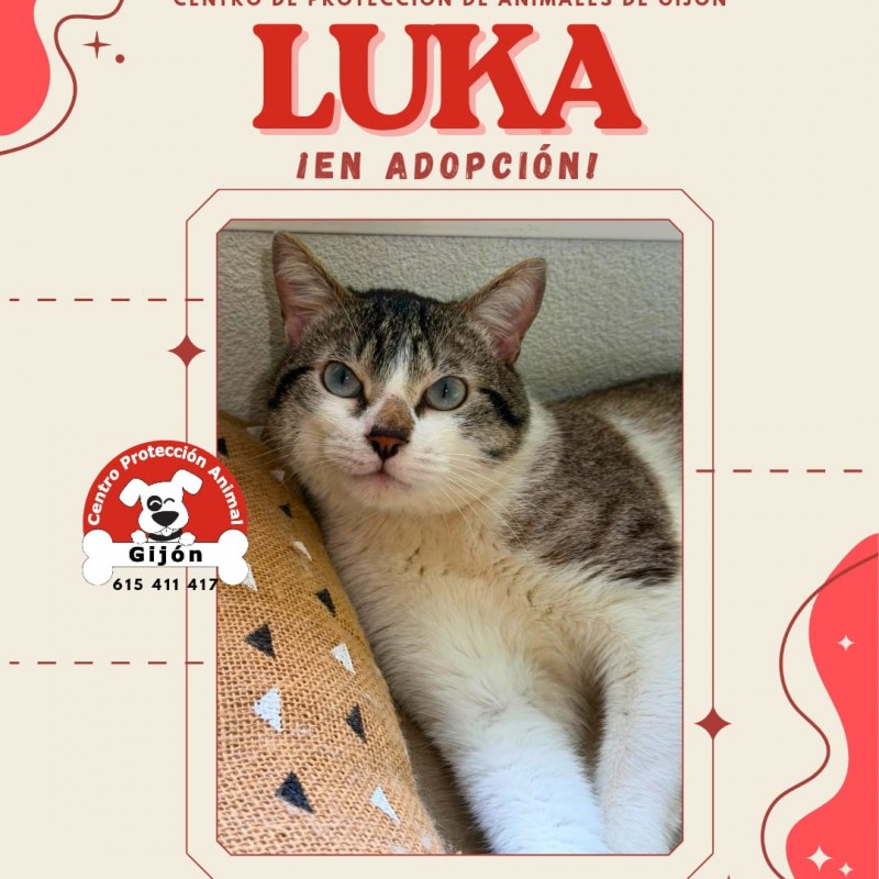 Fotos LUKA