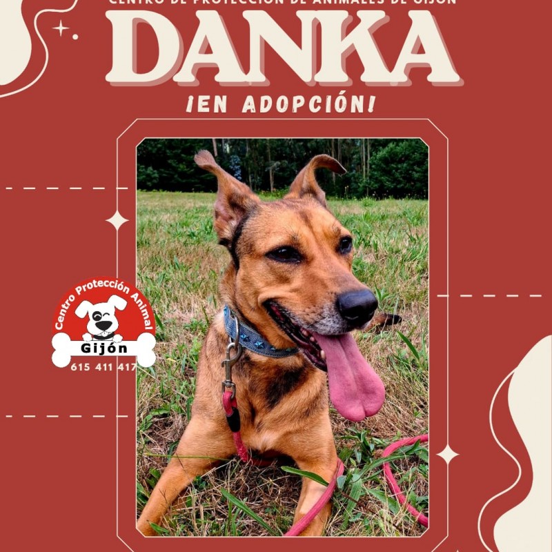 Fotos DANKA