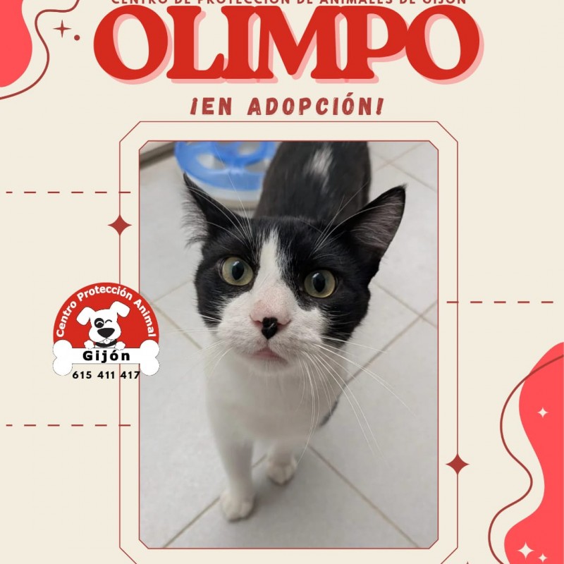 Fotos OLIMPO