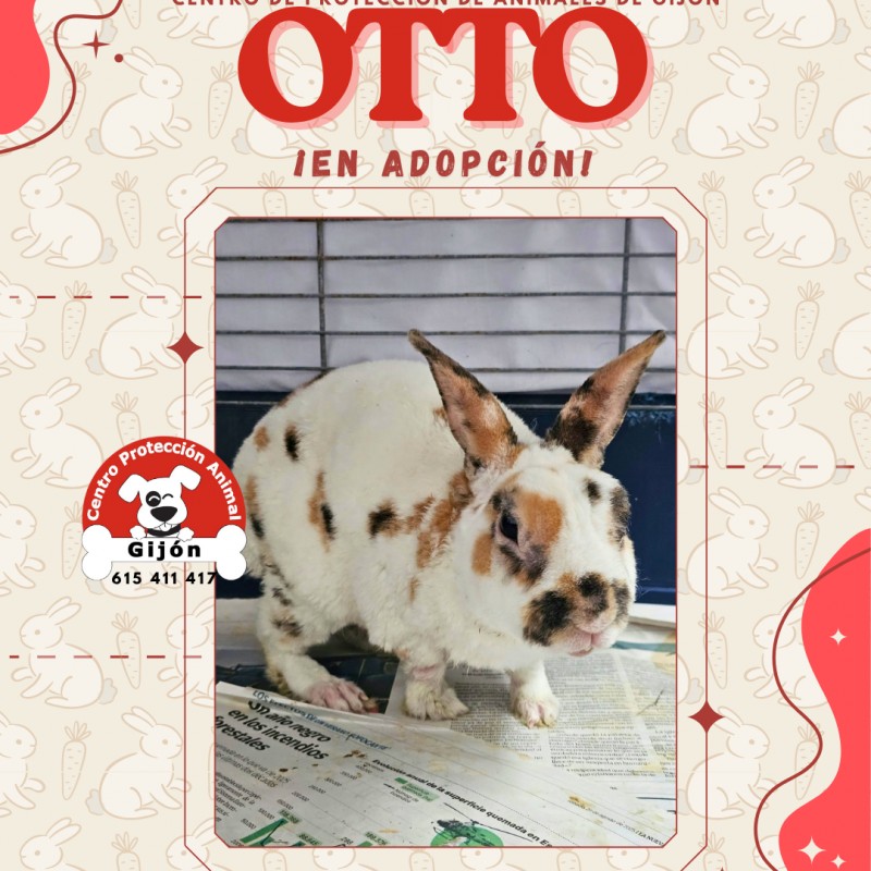 Fotos OTTO