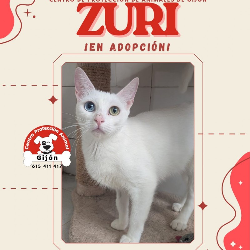 Fotos ZURI