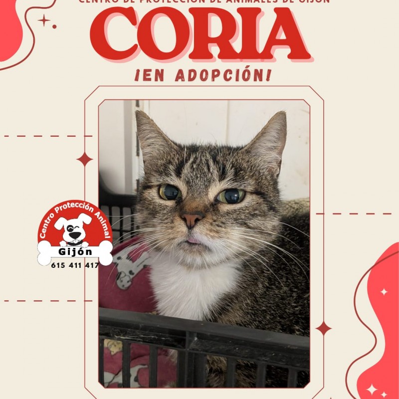 Fotos CORIA