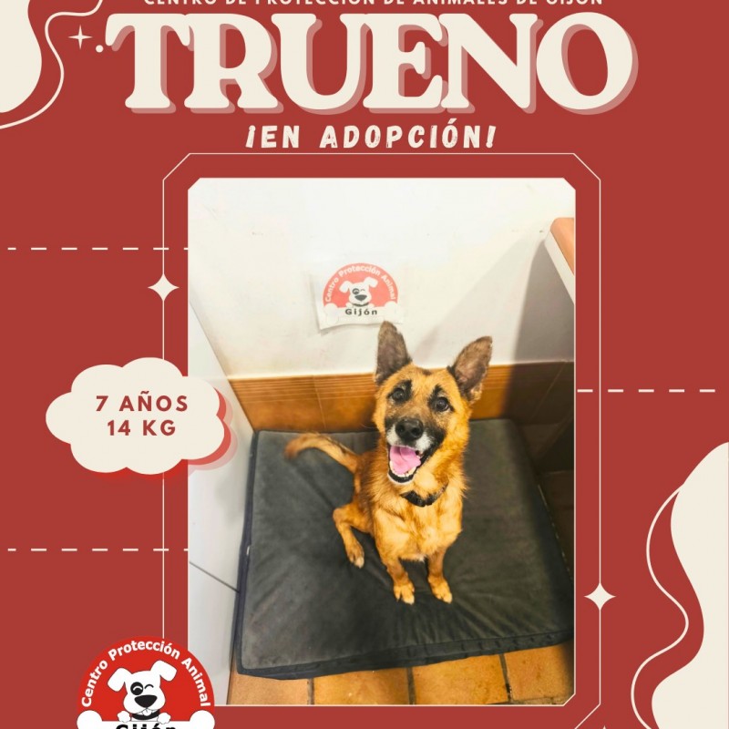 Fotos Trueno