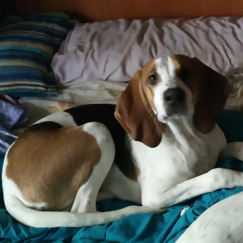 Fotos Lucky