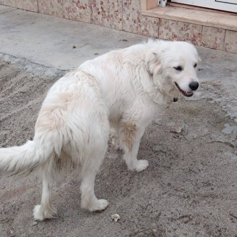Fotos Luna