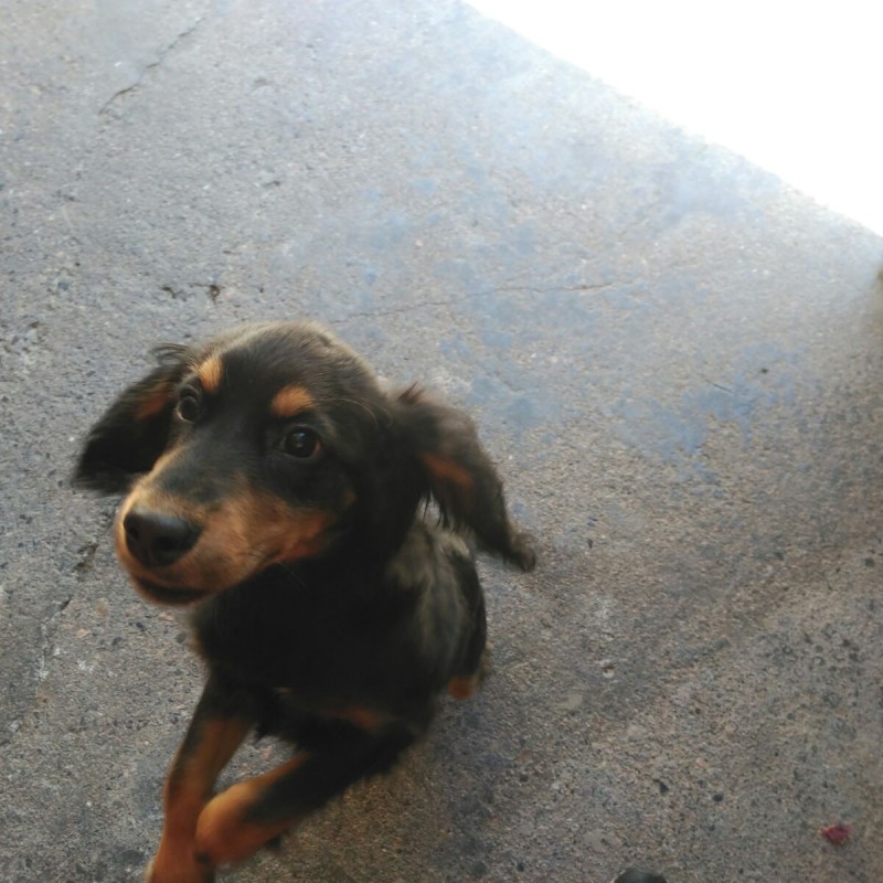 Fotos Mozart
