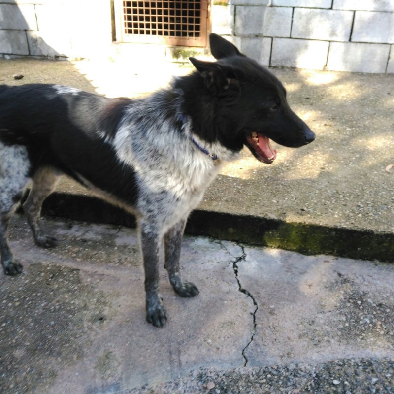 Fotos Kody