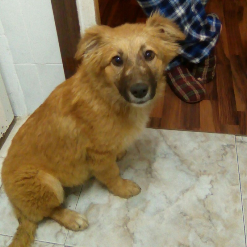 Fotos Laguerza