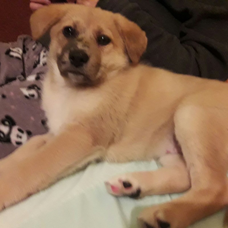 Fotos Cumba
