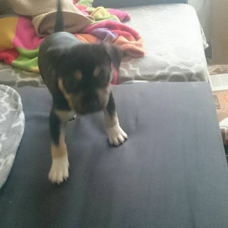 Fotos Frida.