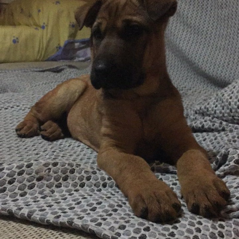 Fotos YOKO