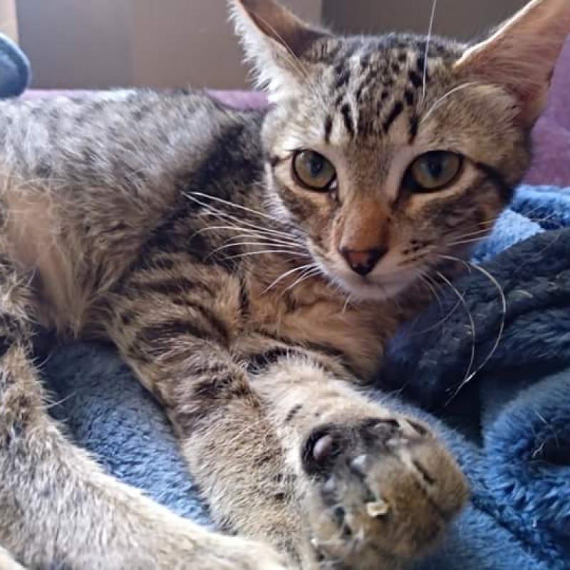 Fotos BIBI