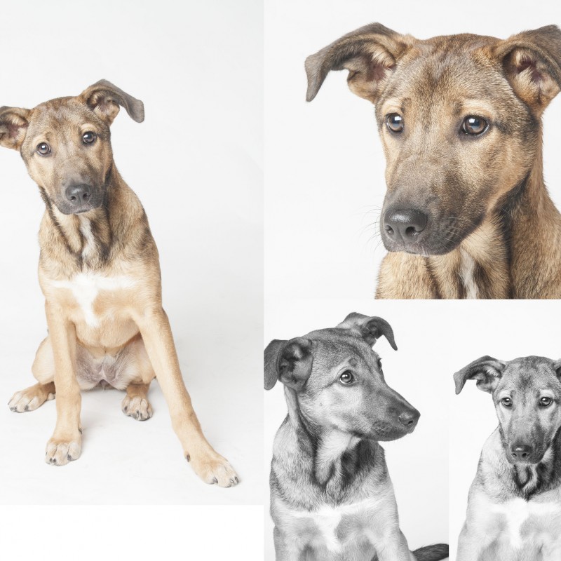 Fotos NALA