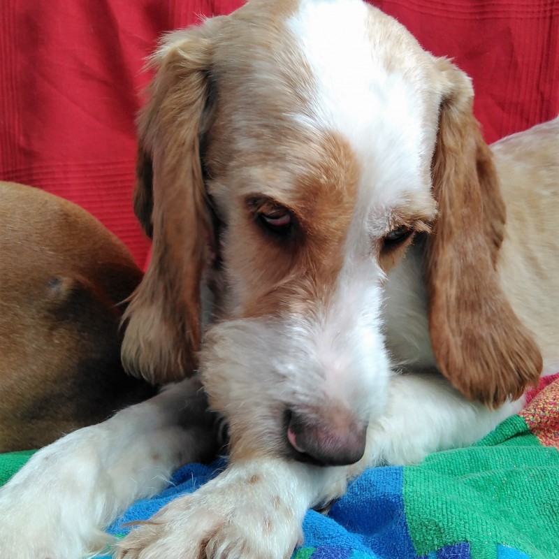 Fotos RUFO