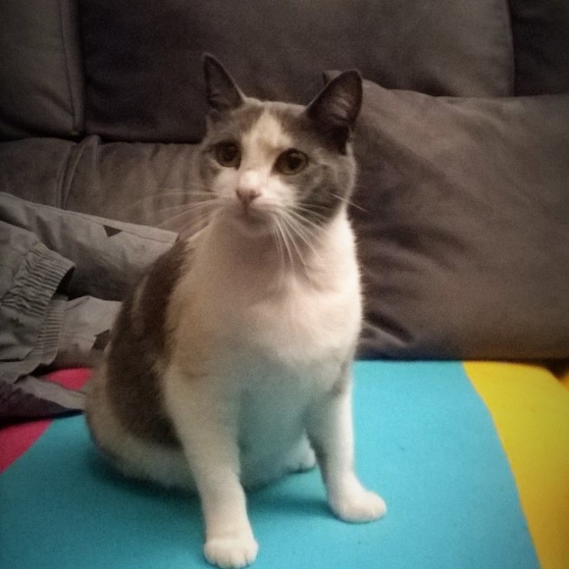 Fotos PANCHA
