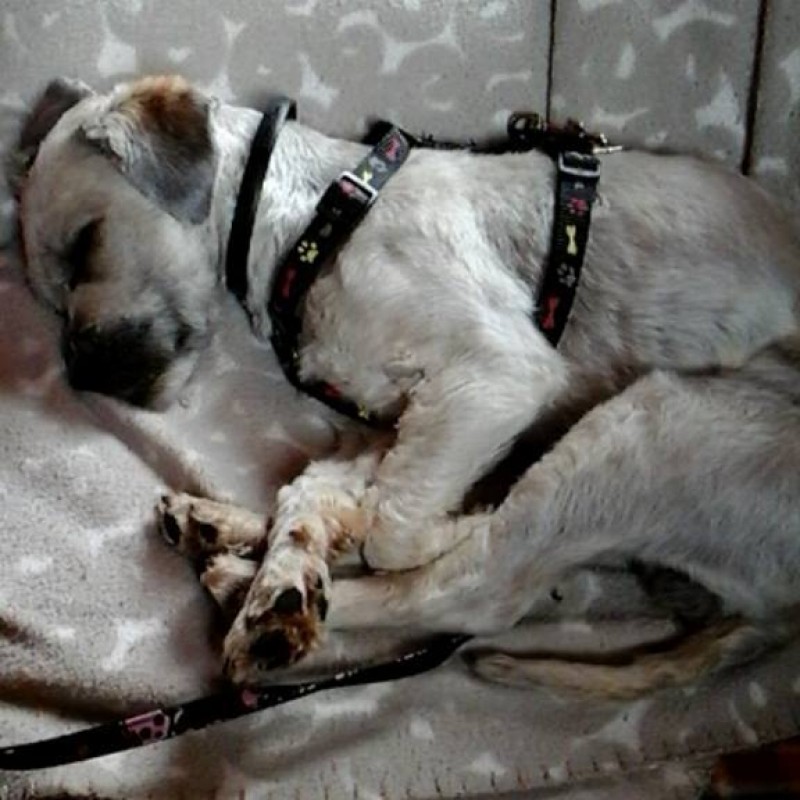 Fotos ZAHIRA (ahora Lía)