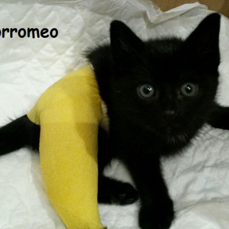 Fotos CARLOS BORROMEO (ahora Franky)