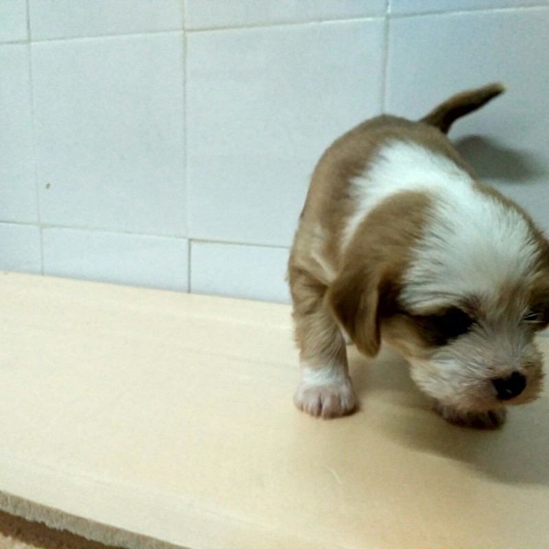 Fotos HUGO