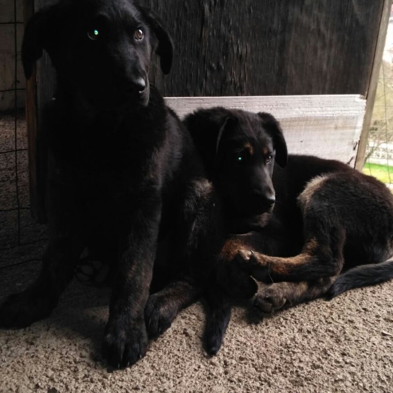 Fotos Thor (el mas oscuro)
