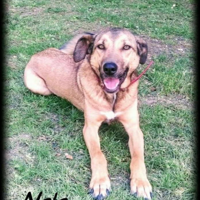 Fotos NALA