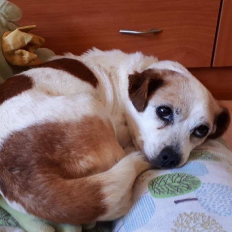 Fotos Luna