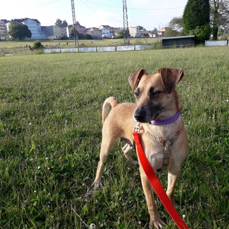 Fotos Noa
