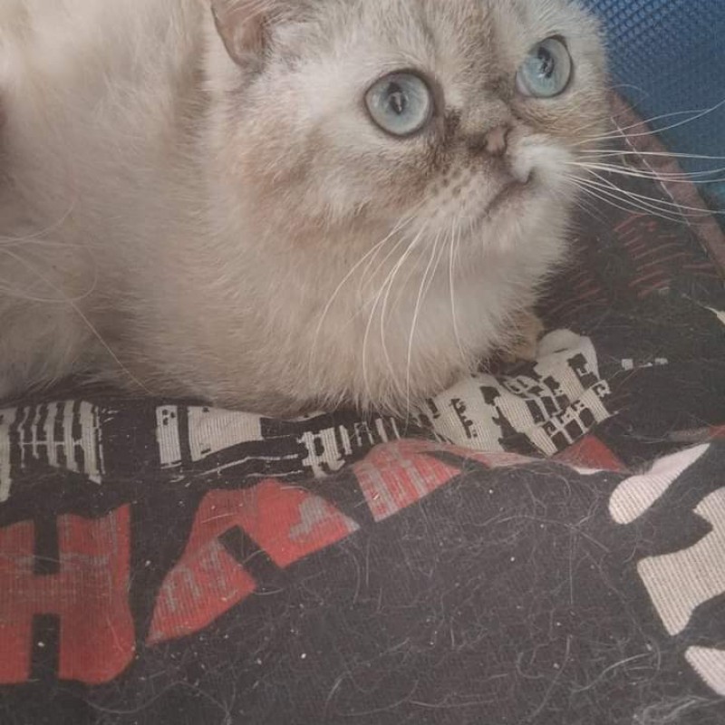 Fotos Taby