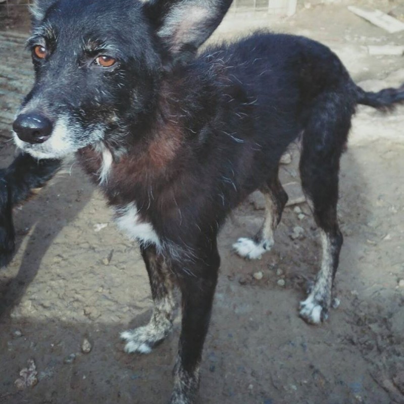 Fotos Karma