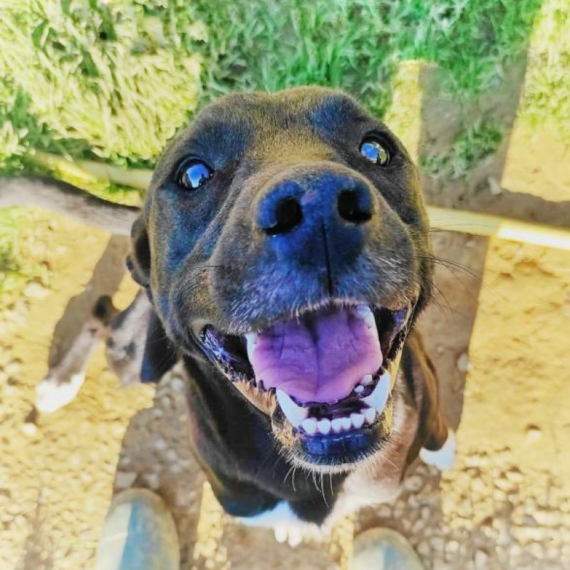 Fotos EROS