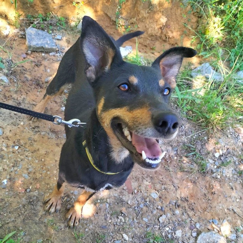 Fotos Eros