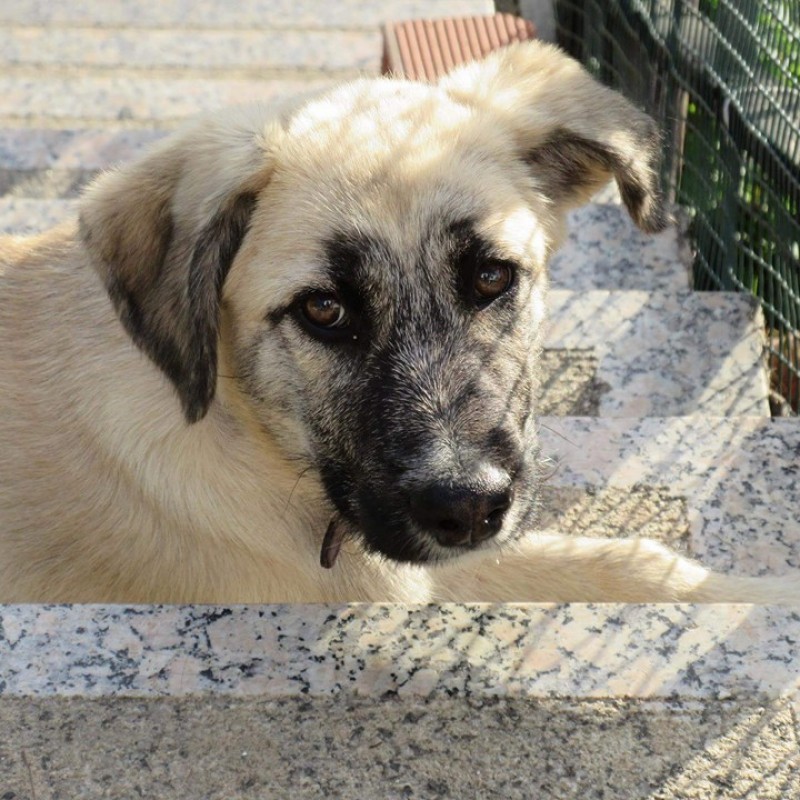 Fotos Duda