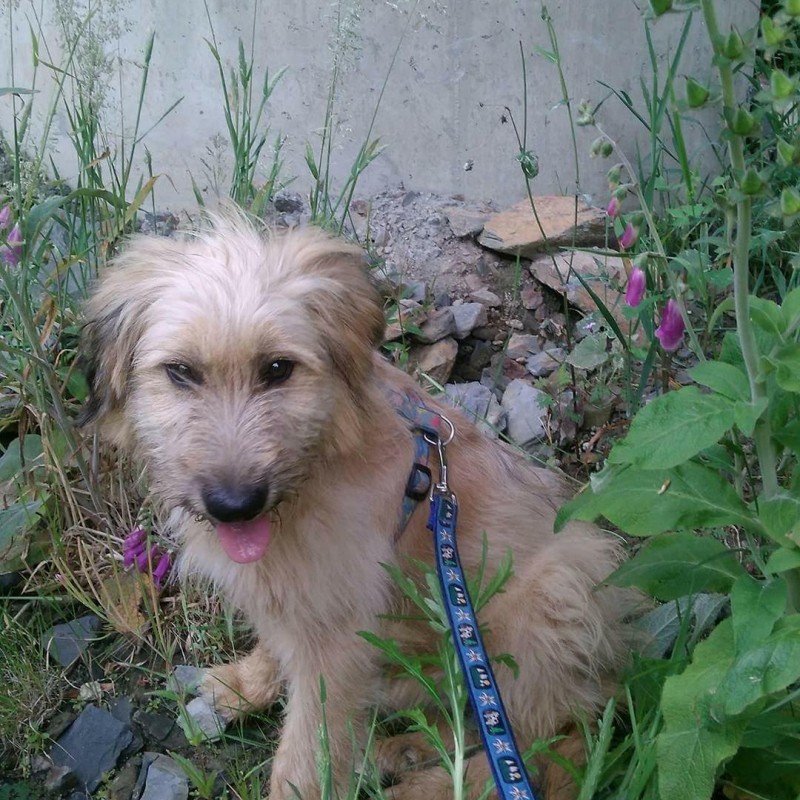 Fotos Frida