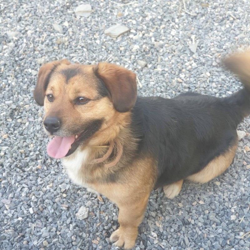 Fotos Otto