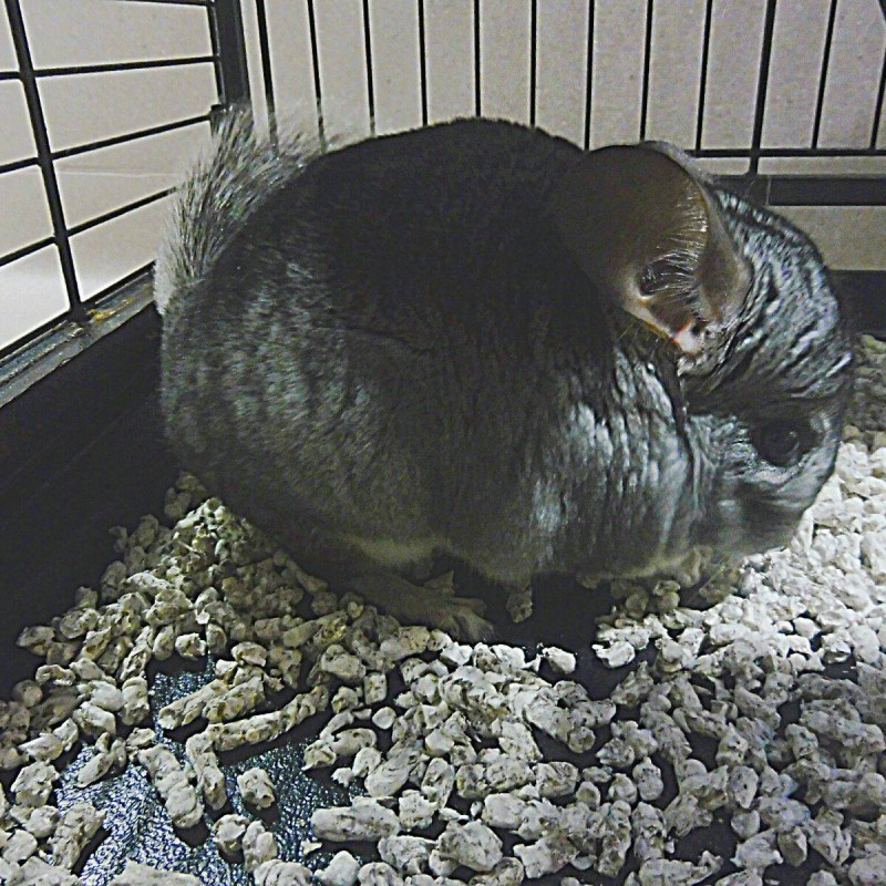 Fotos Masuki