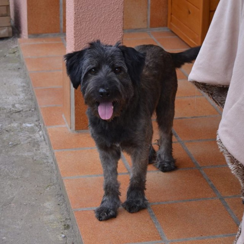 Fotos Leo