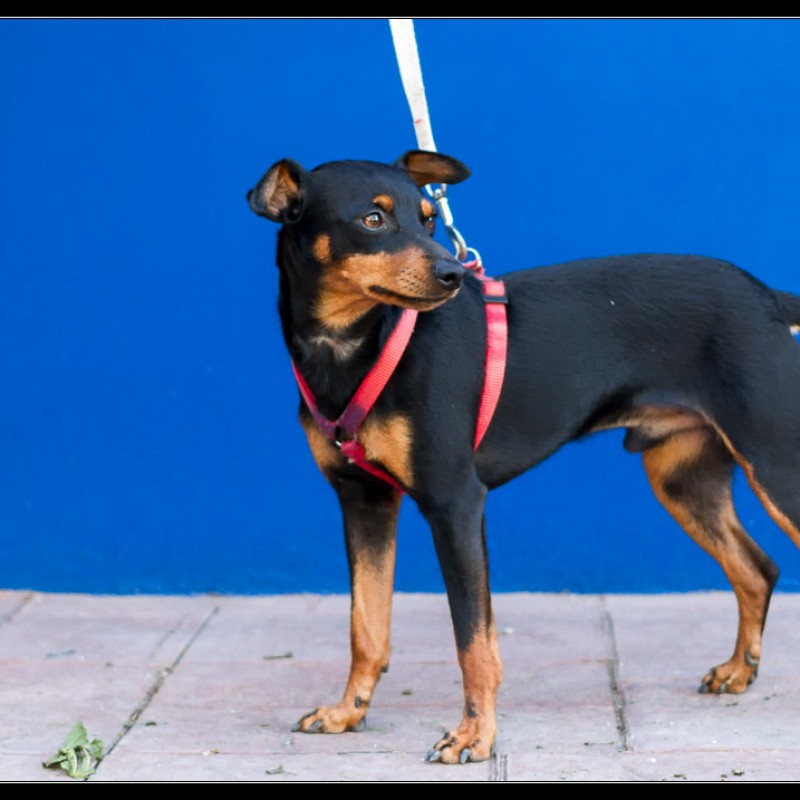 Fotos Turu