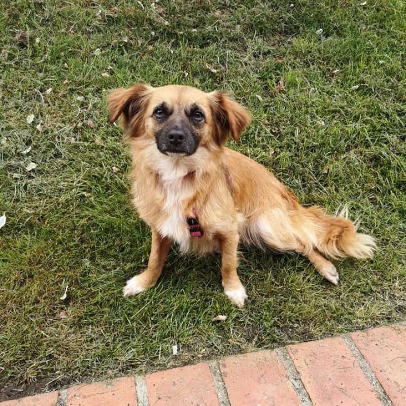 Fotos Boxi