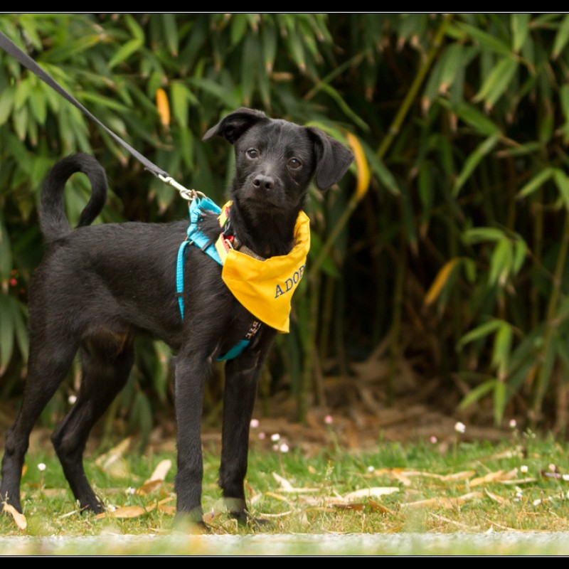 Fotos Woody