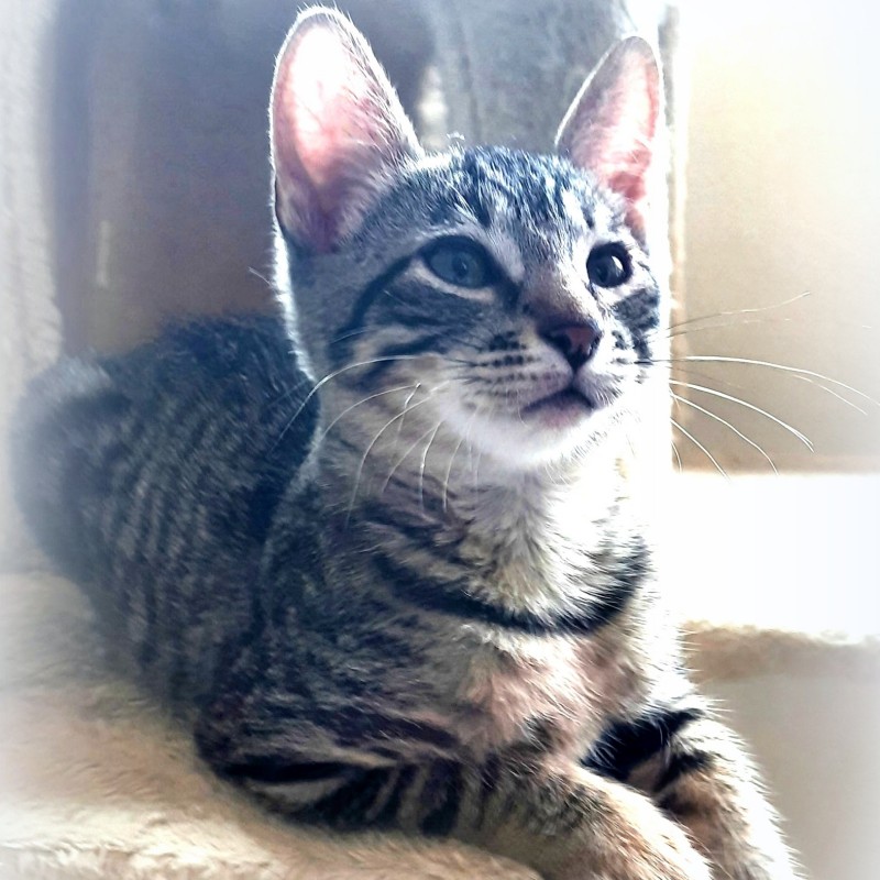 Fotos Neo