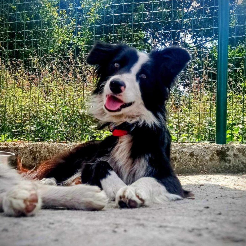 Fotos Frida